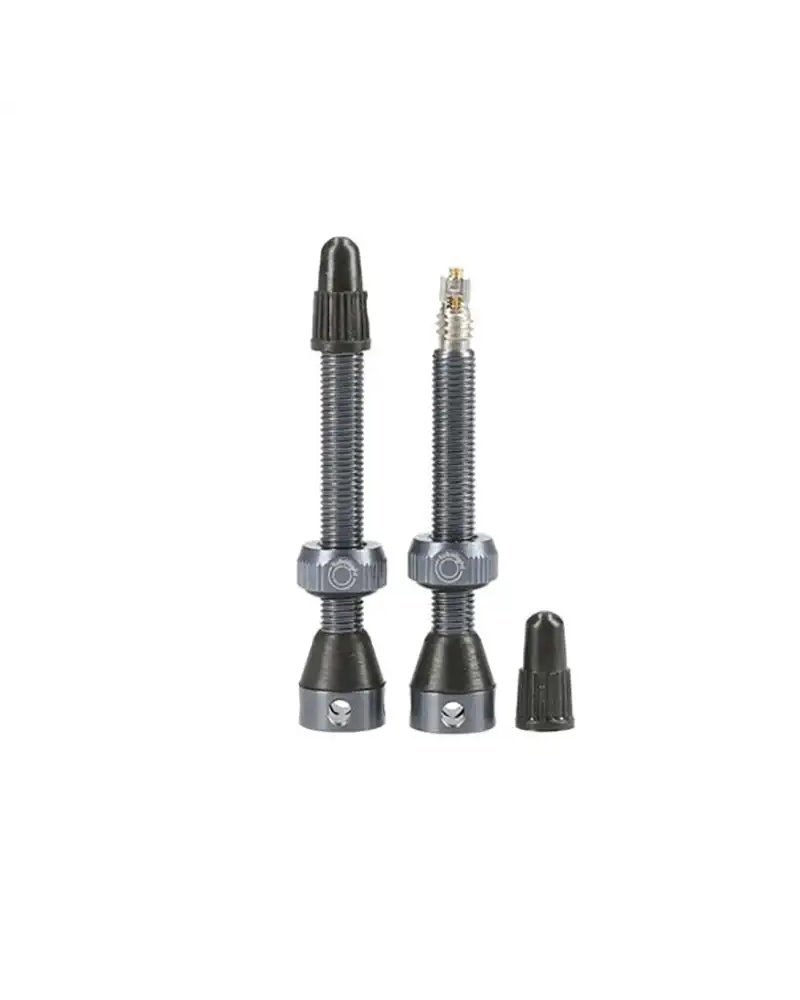 Tubeless Valve
