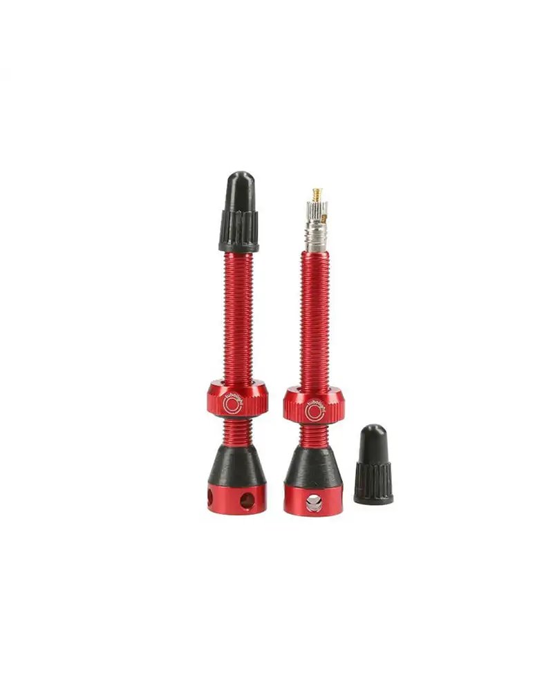 Tubeless Valve