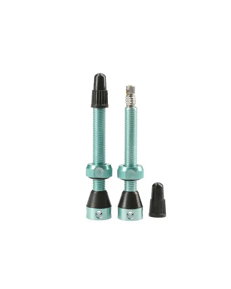 Valvole Tubeless