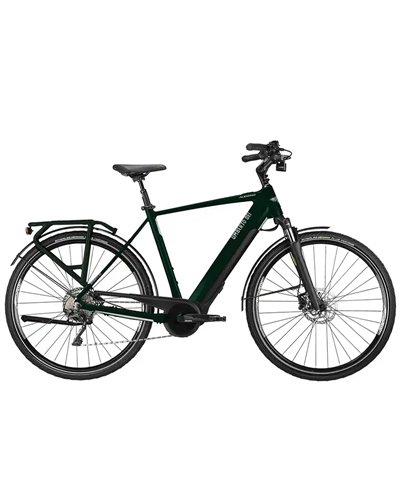 Umberto Dei e-Bike Audere Shimano Deore 10V Fazua Evation 2.0 255Wh Tg. 49, Verde Scuro/Argento