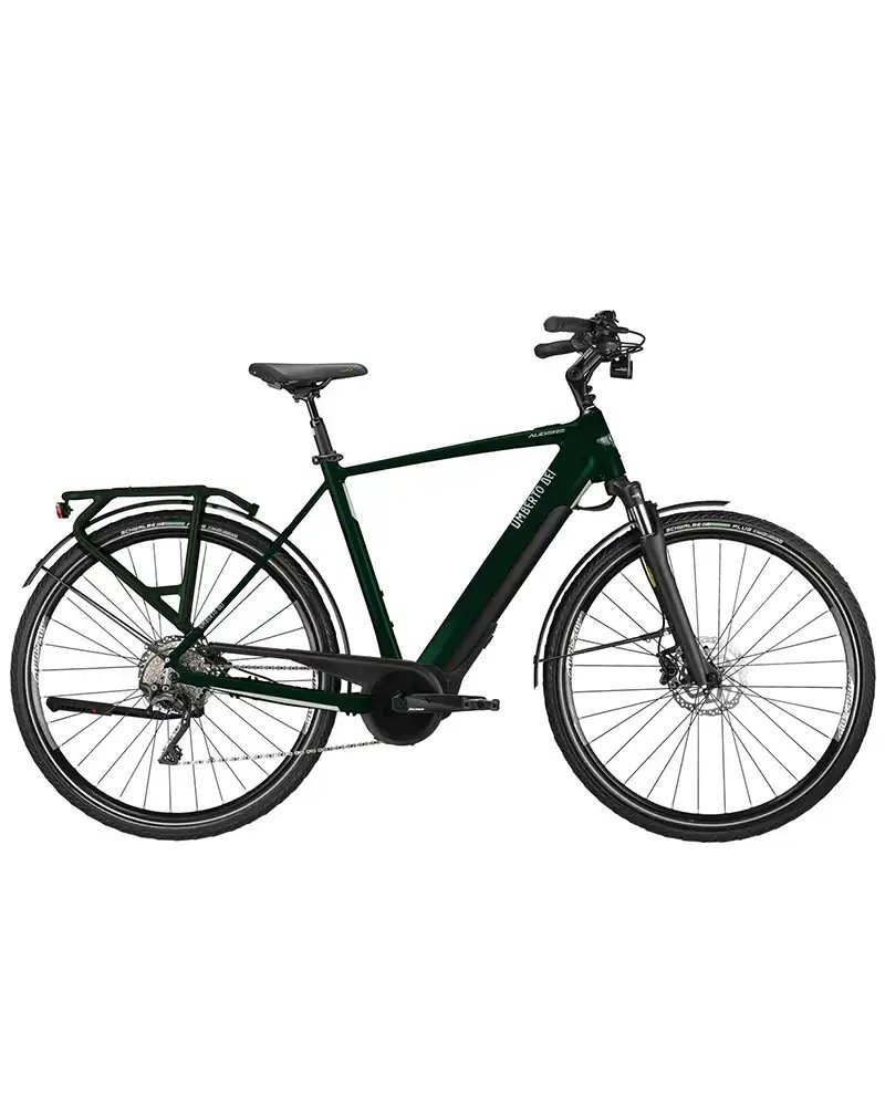 Umberto Dei e-Bike Audere Shimano Deore 10V Fazua Evation 2.0 255Wh Tg. 49, Verde Scuro/Argento