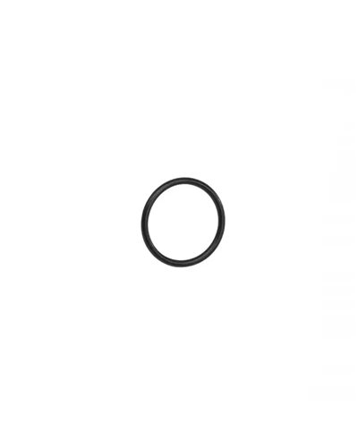 Bosch O-Ring For Chainring Mounting, It Needs Locking Ring 1.270.014.085, Too
