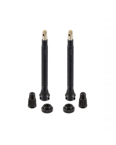 Wag Valvola Tubeless in Alluminio Presta 60mm Forata, Nero