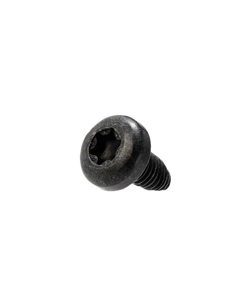 Bosch Screw for ConnectModule - 1X Screw M4X12, Torx T20 - Smart System