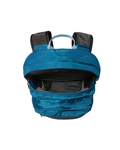 The North Face Borealis Classic Backpack 29 Liters, Midnight Petrol/Algae Blue