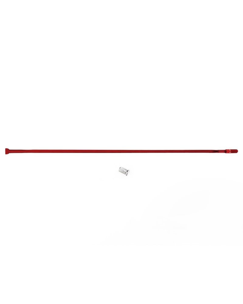 Fulcrum R0F-SR01 Raggio Rosso e Nipplo R0 Tubolare/R0 2WF Anteriore (1 pz)