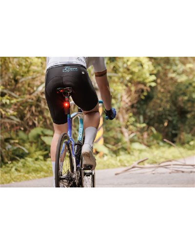 Bryton Bryton Gardia R300L Rear Bike Radar + D-Shape Mount