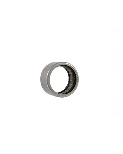 BTA Roller Clutch Bearing Brose 24X30X16