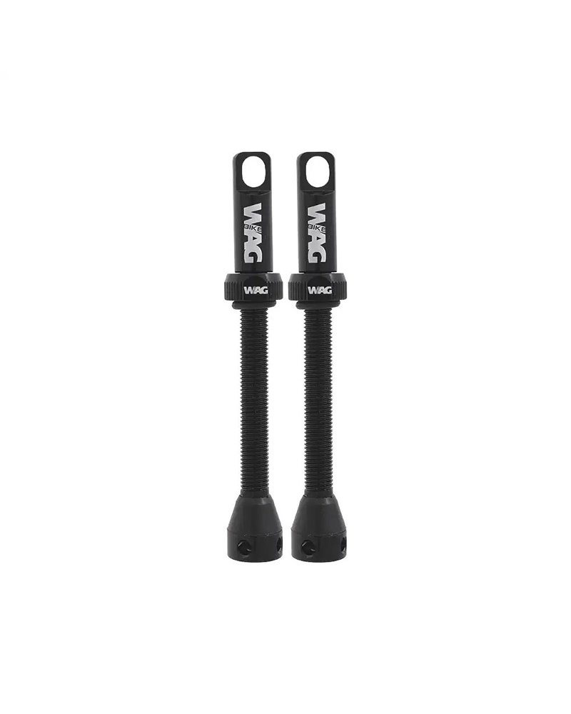Valvole Tubeless