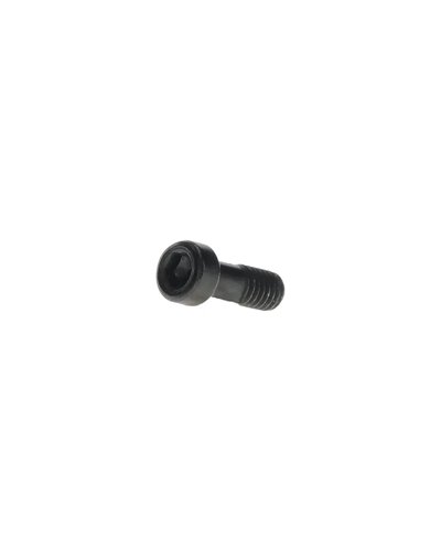 Bosch Purion 400 Screw