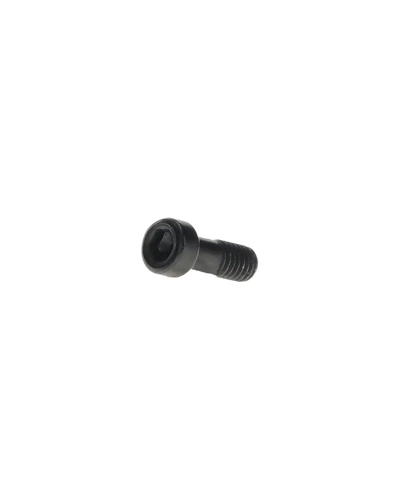 Bosch Purion 400 Screw