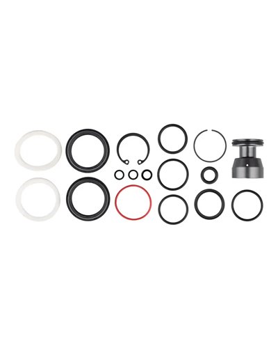 RockShox Kit Revisione 200H Domain R/RC B1 (2022-2024)