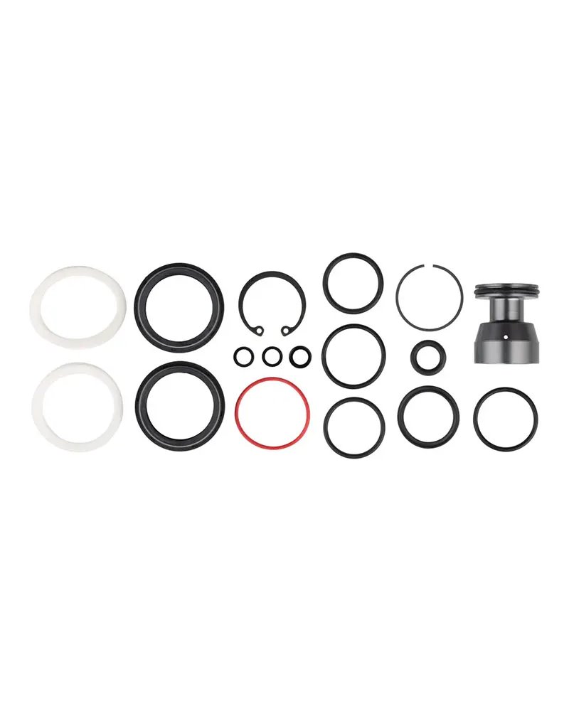 RockShox Kit Revisione 200H Domain R/RC B1 (2022-2024)