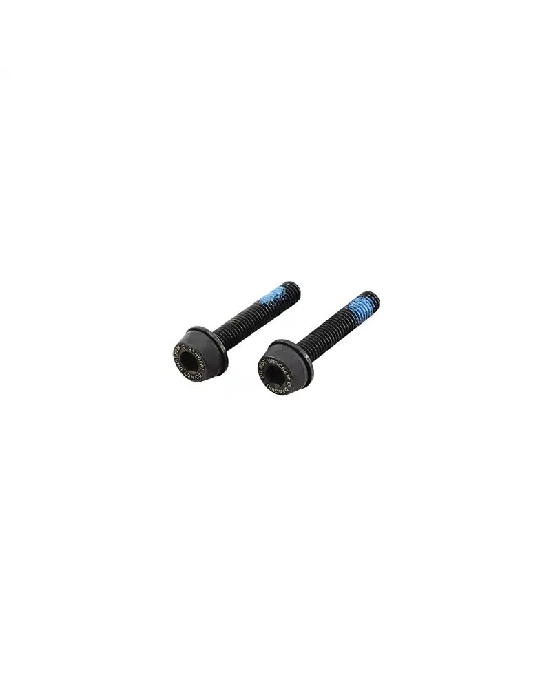 Campagnolo Pair of Bolts for Rear Flat Moun Disc Brake Caliper 19mm (for Frame with 10-14mm Chainstay Thickness)