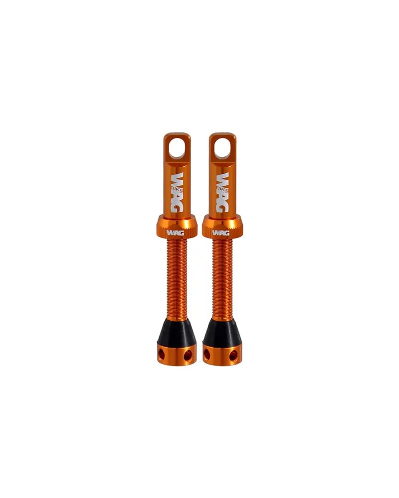 Valvole Tubeless