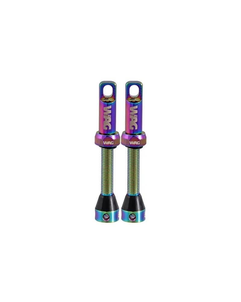 Tubeless Valve