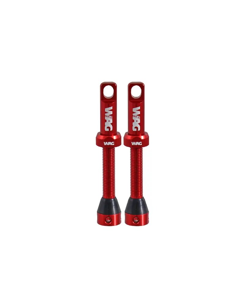 Valvole Tubeless