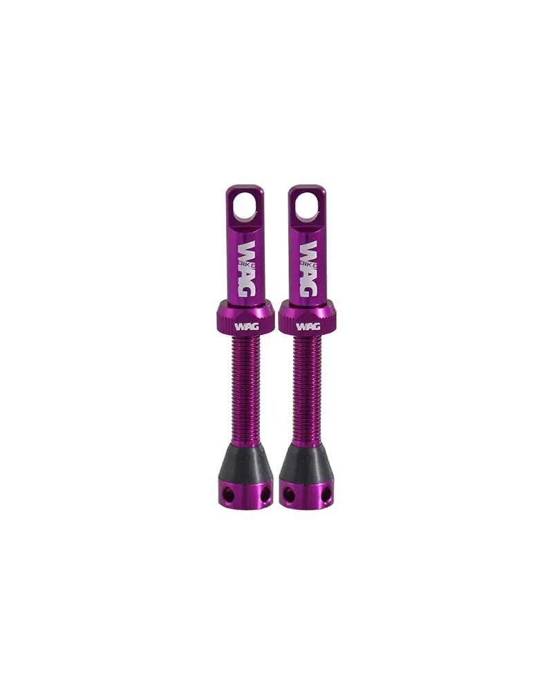 Valvole Tubeless