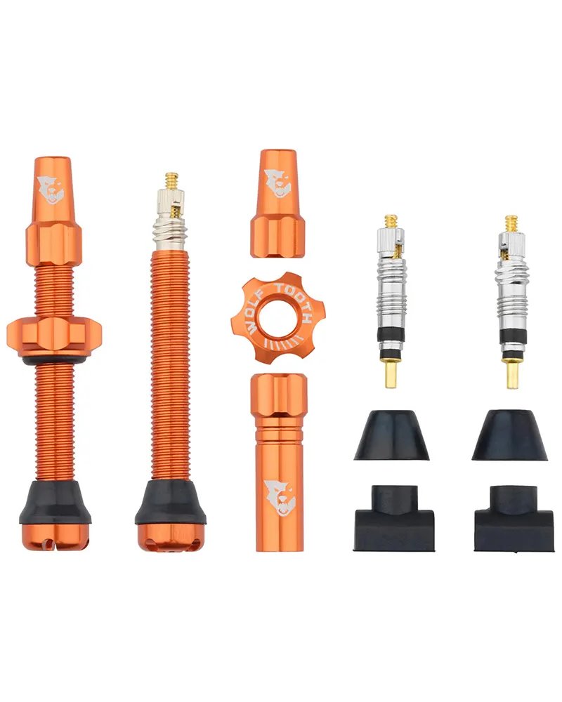 Valvole Tubeless