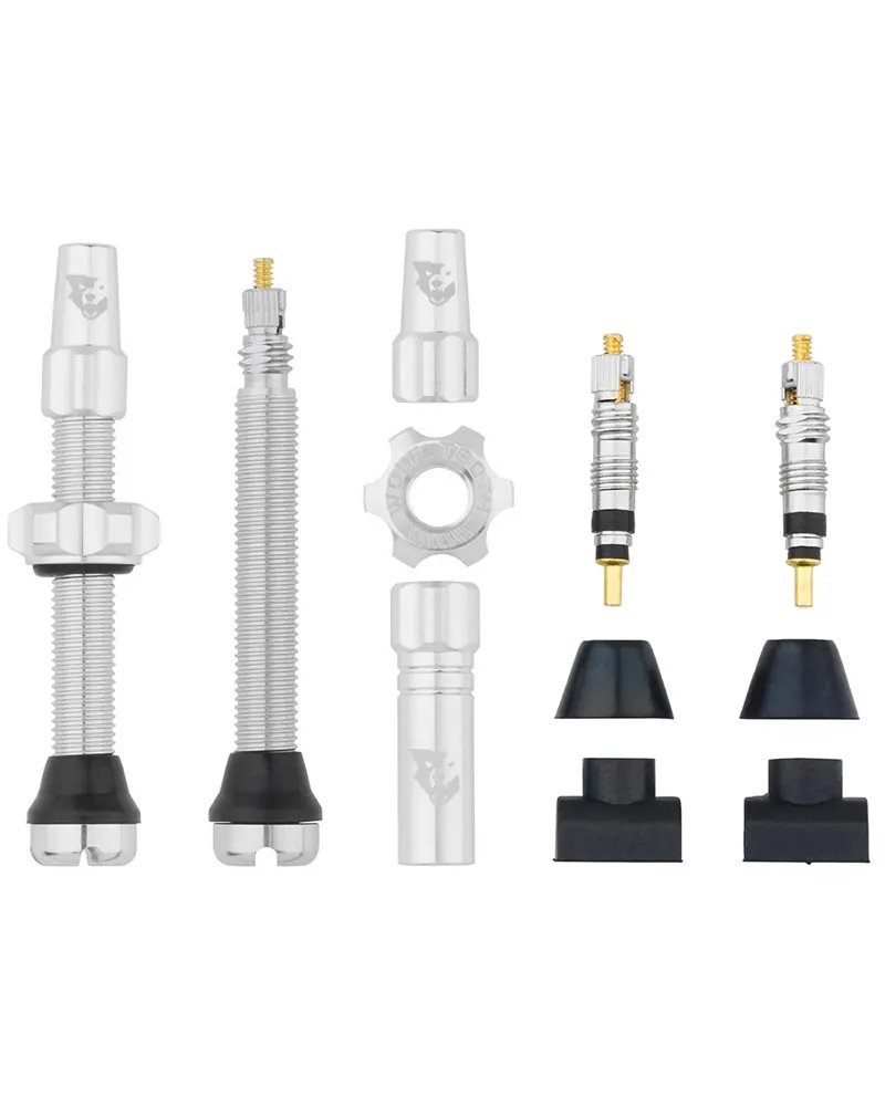 Valvole Tubeless