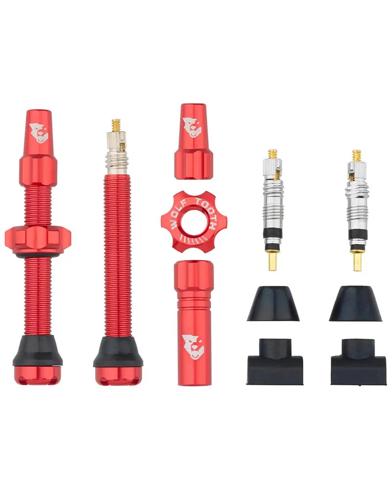 Valvole Tubeless