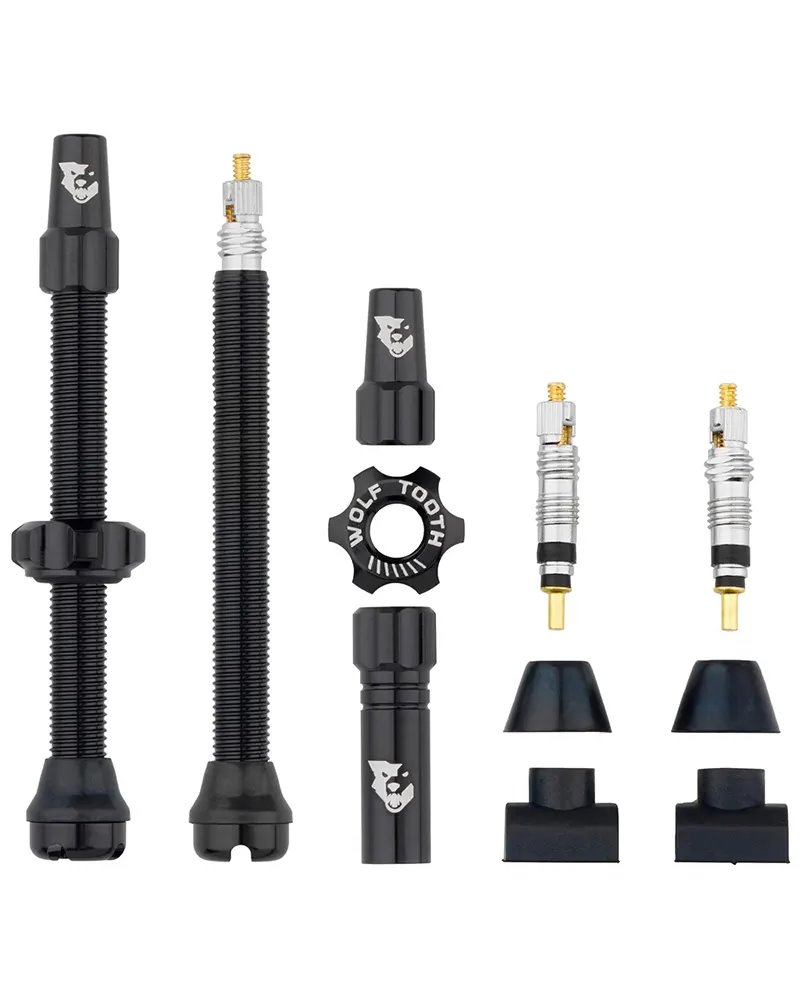 Tubeless Valve