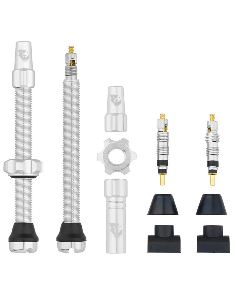 Tubeless Valve