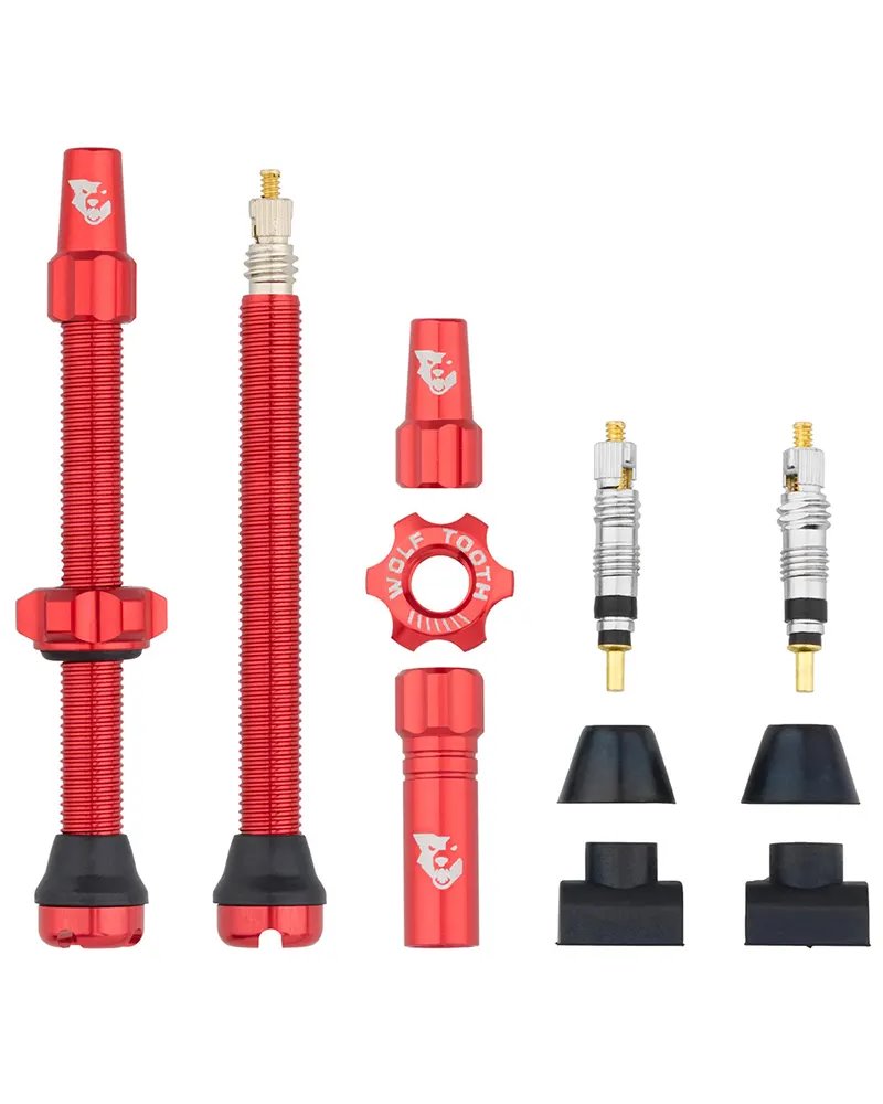Valvole Tubeless
