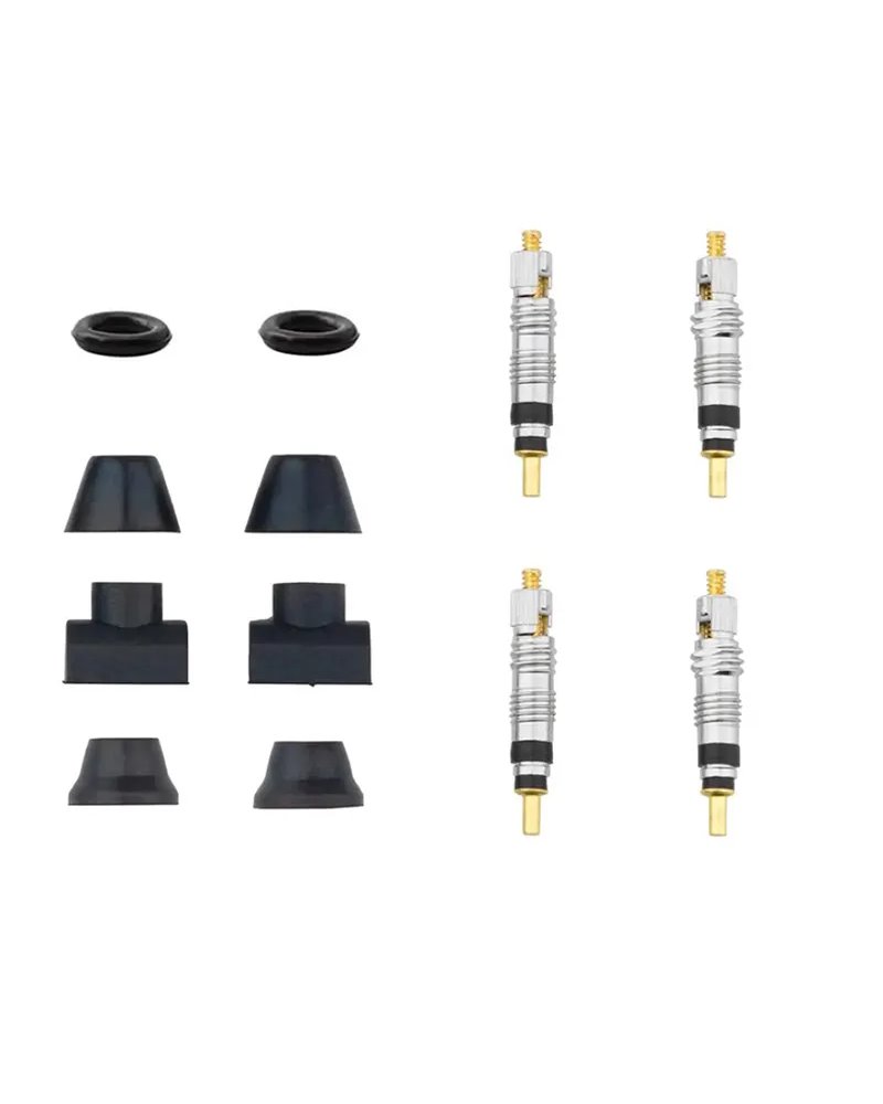 Tubeless Valve