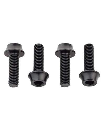 Wolf Tooth Water Bottle Cage Bolts, Black (4 pcs)