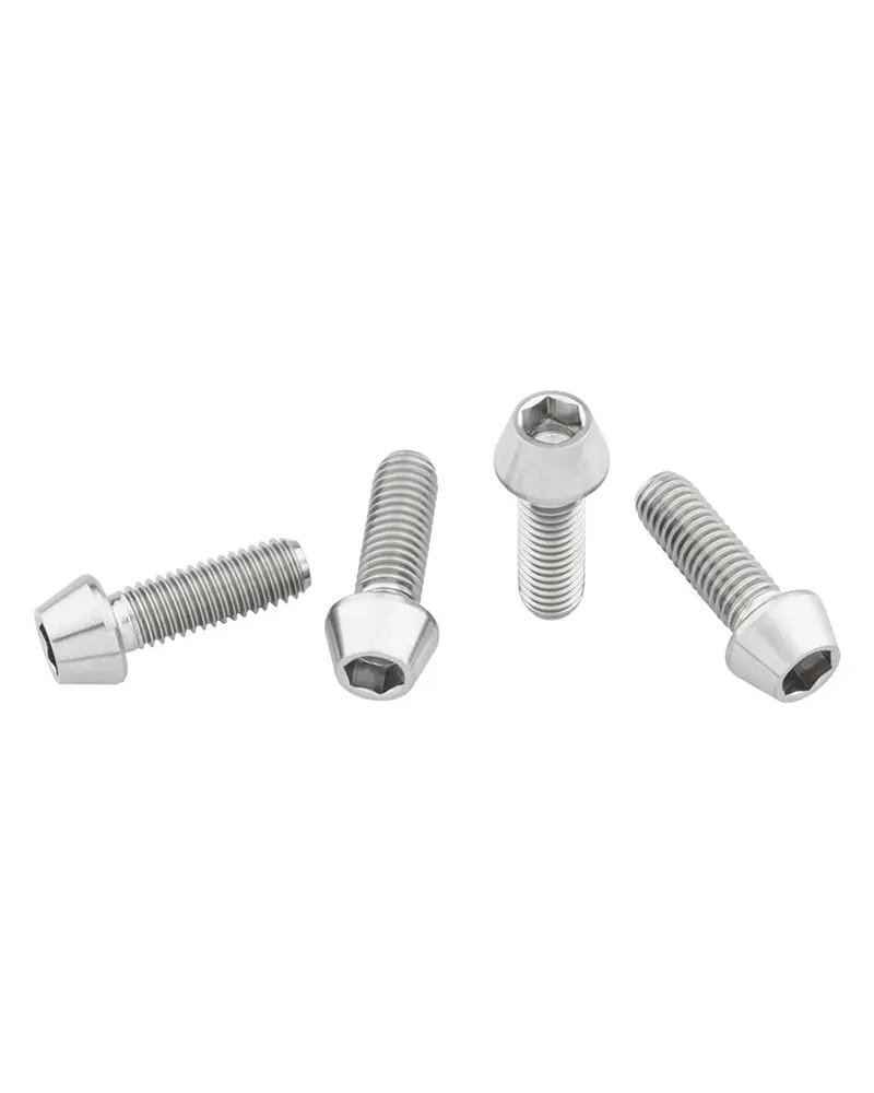 Wolf Tooth Water Bottle Cage Bolts Titanium M5X0.8mmx15mm, Silver (4 pcs)