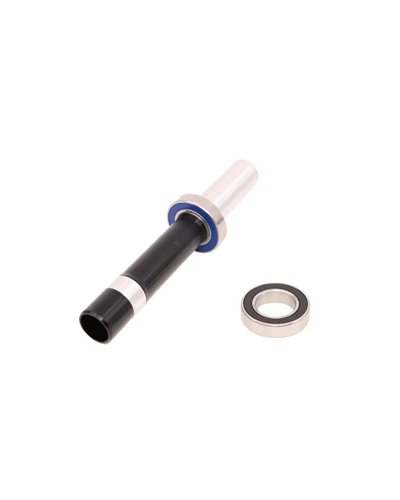 Zipp Asse Posteriore con due Cuscinetti 61903 (30X17X7) per Mozzi Cognition V2 Disc NSW