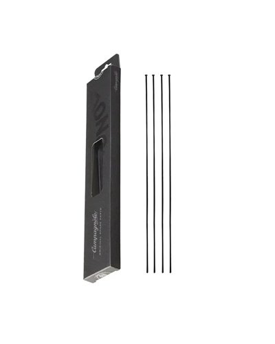 Campagnolo Kit Raggi WH-01BWTO33DB Ant. SX e Post. DX Bora WTO 33 C19 DB, 292.5mm (4 pz)