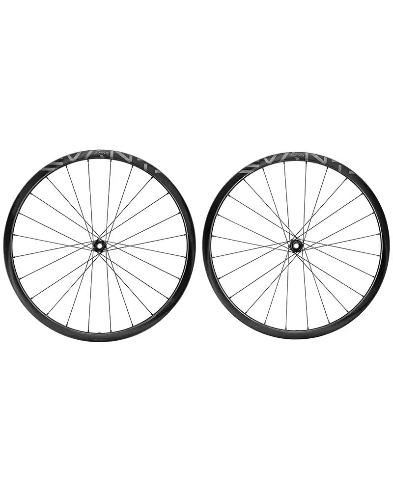 Campagnolo Levante 700c C25 DB 2WF Gravel, Wheelset