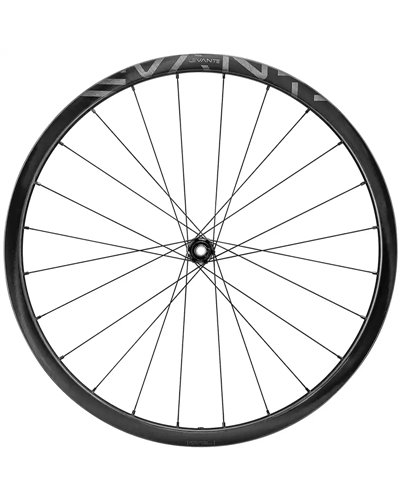 Campagnolo Levante 700c C25 DB 2WF Gravel, Coppia Ruote