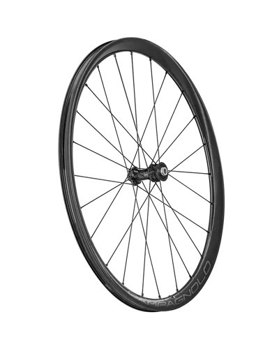 Campagnolo Levante 700c C25 DB 2WF Gravel, Coppia Ruote