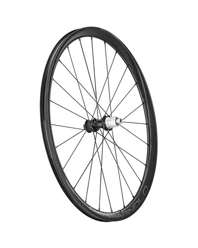 Campagnolo Levante 700c C25 DB 2WF Gravel, Coppia Ruote