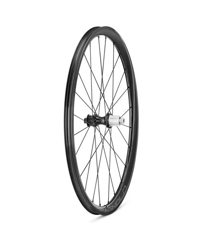 Campagnolo Levante 700c C25 DB 2WF Gravel, Coppia Ruote
