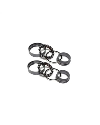 Campagnolo Kit Revisione Mozzo HB-RE100