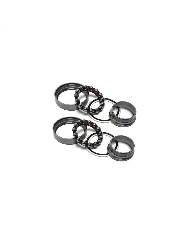 Campagnolo Hub's Rebuild Kit HB-RE100