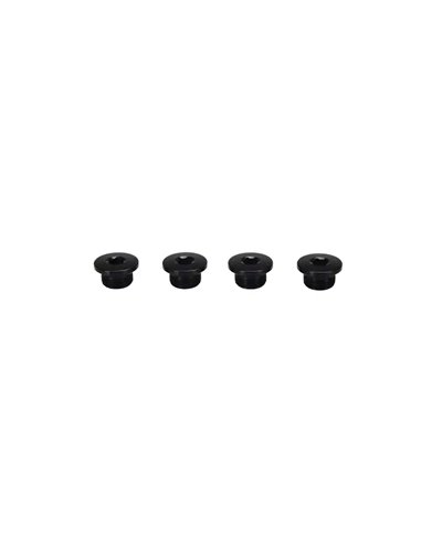Campagnolo Bolts for Chainring Ekar 13S (4 pcs)