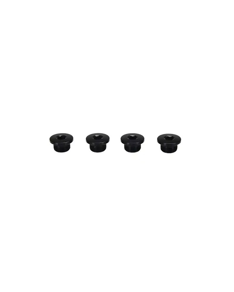 Campagnolo Bolts for Chainring Ekar 13S (4 pcs)
