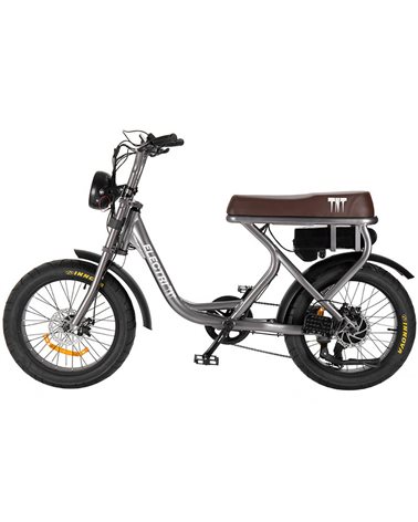 Electri TNT e-Bike Fat 20" 250W, Grigio