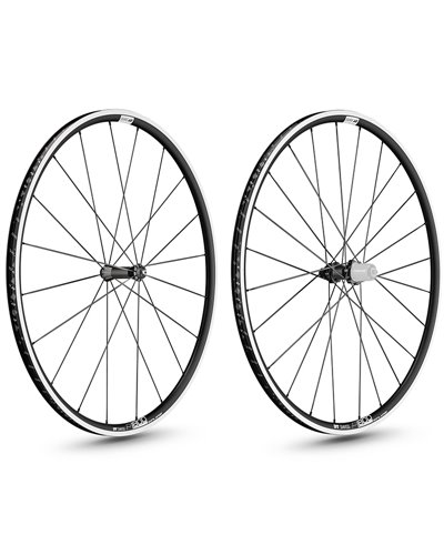DT Swiss P 1800 Spline 23 700C Rim Brake - Coppia Ruote