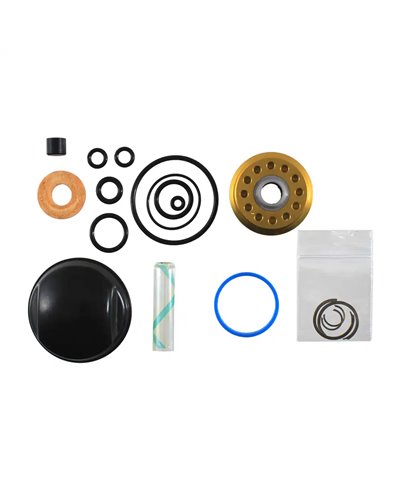 Cane Creek Kit Revisione Tenute Olio - Coil IL G2 Trunnion