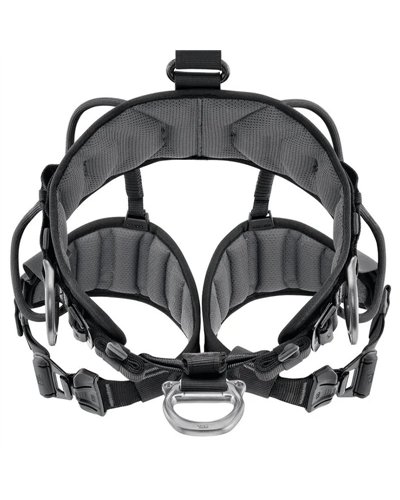 Petzl Avao Fast Harness Size 2, Black (INT)