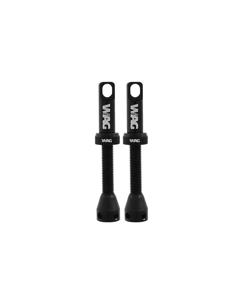 Valvole Tubeless