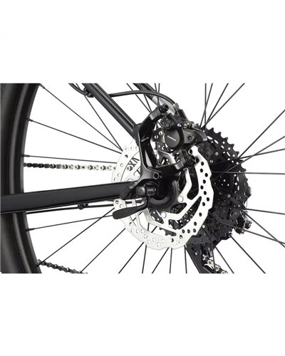 Cannondale Trail 5 29" 10v Freni a Disco Idraulici, Graphite (GRA)
