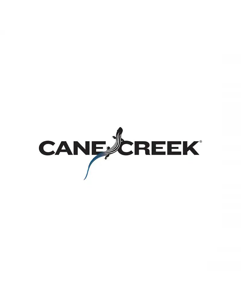 Cane Creek Spider For Eewings Allroad 1X