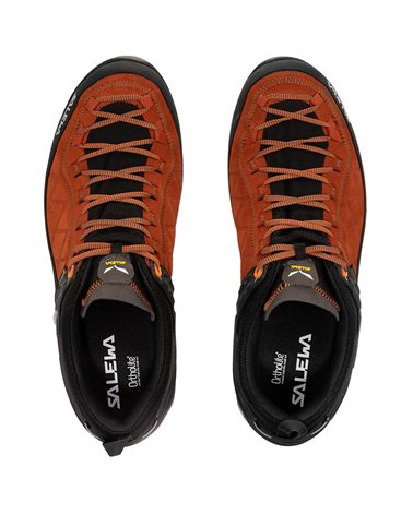 Salewa MTN Trainer 2 GTX Gore-Tex MS Men's Approach Shoes, Autumnal/Black